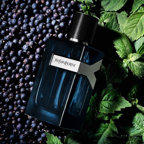 yves saint laurent intense bleu|yves saint laurent intense perfume.